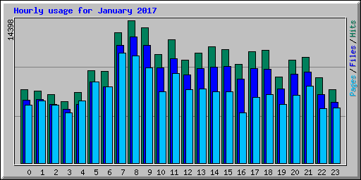 Hourly usage for January 2017